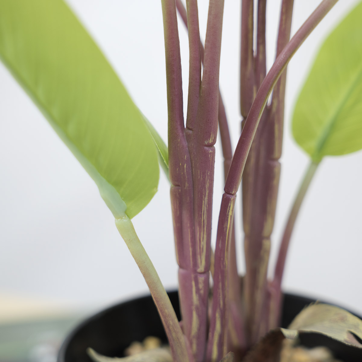 인조식물 극락조 잎 조화화분 76cm 미니인조나무 포트 줄기보기