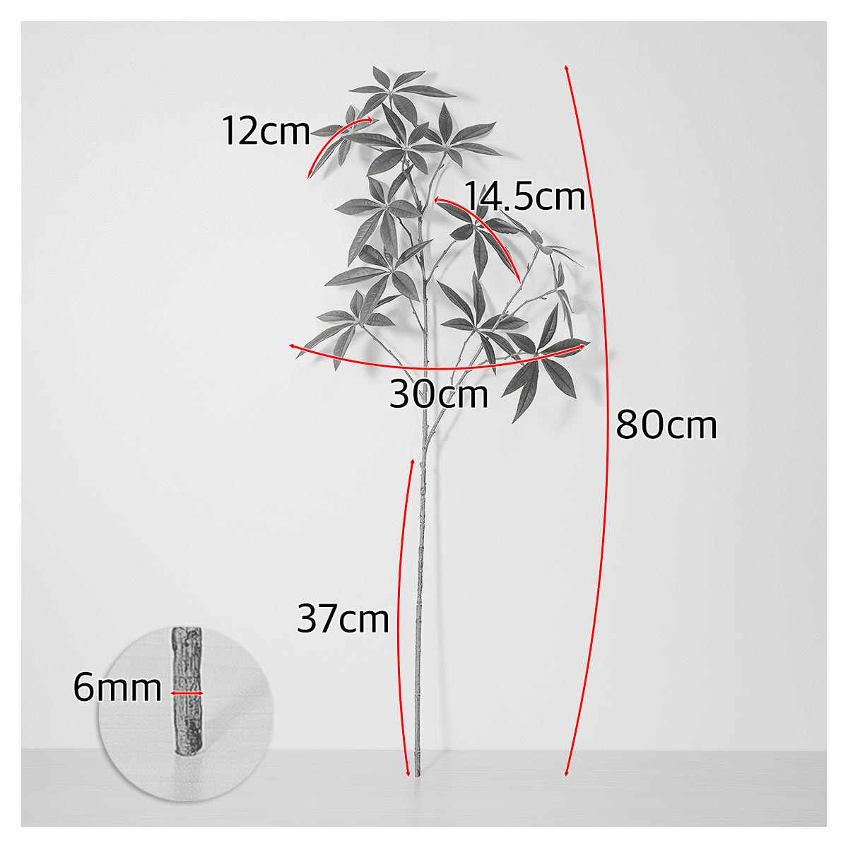   Ű ȭ  80cm 