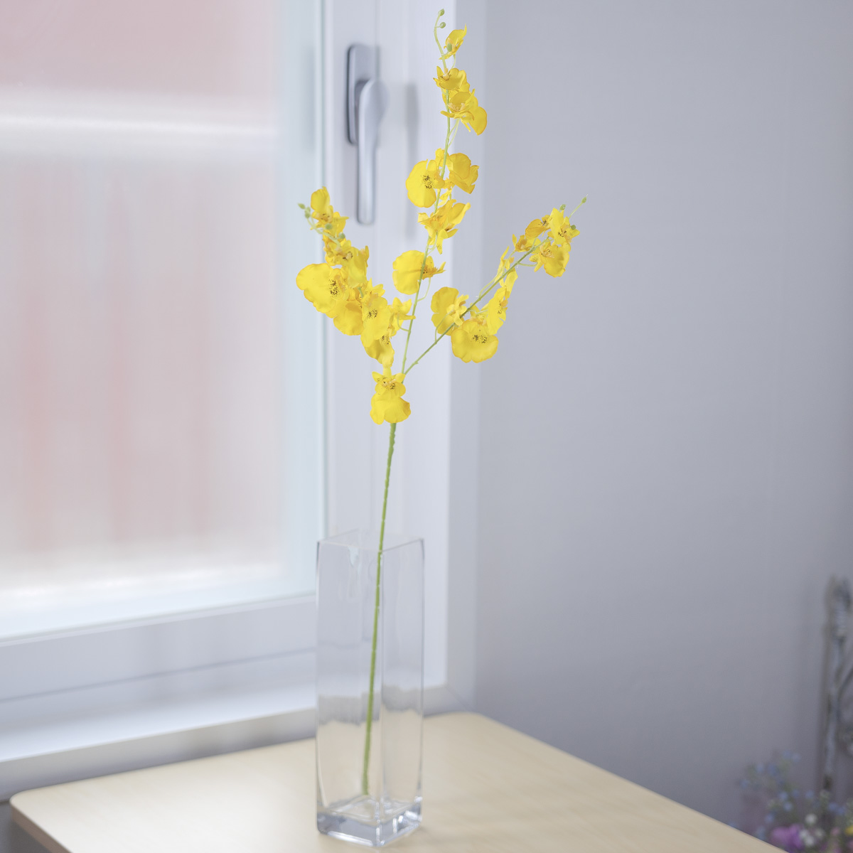 ũö ½õ ȭ 85cm ȭ ȭ ̿Ű  ǰ ̹ 