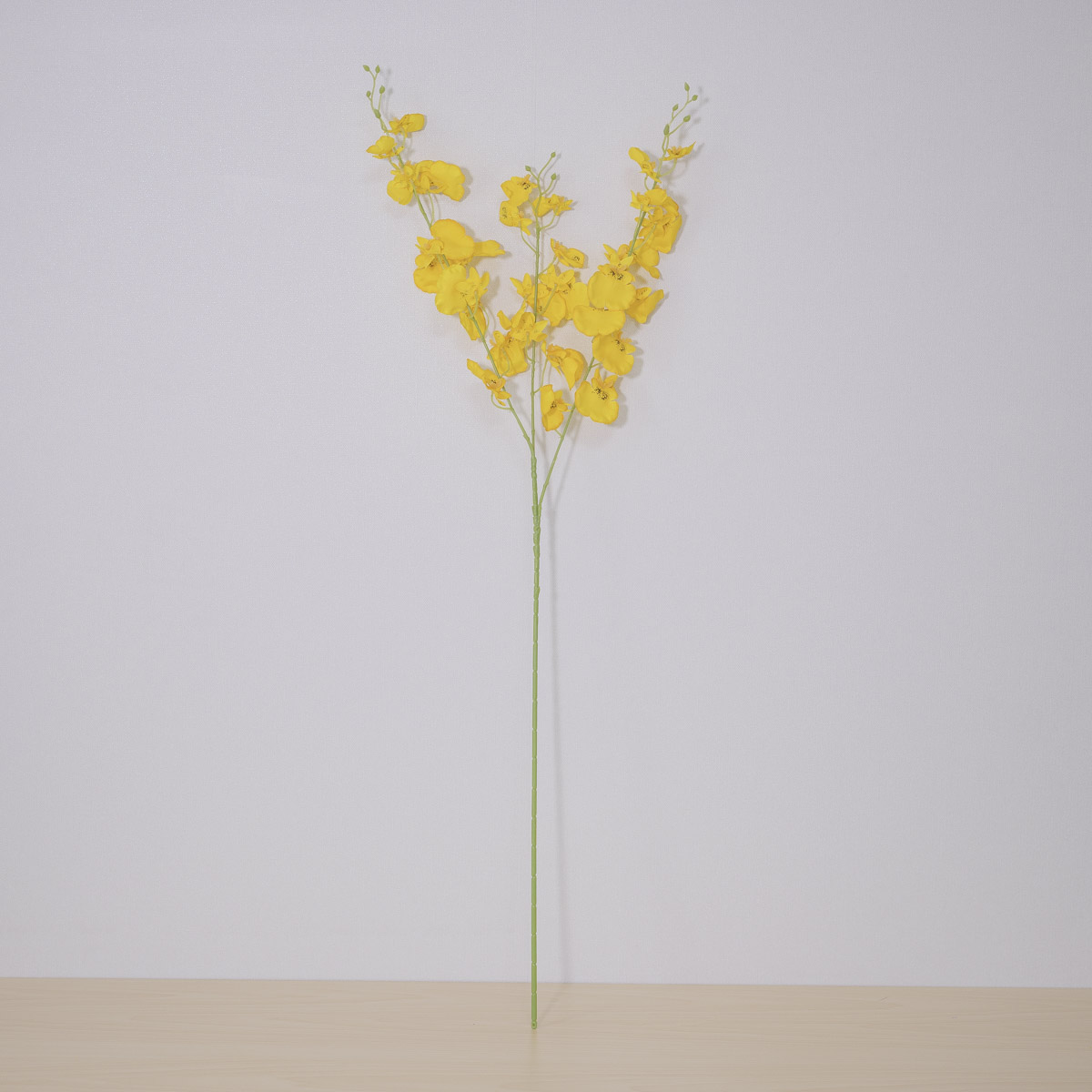 ũö ½õ ȭ 85cm ȭ ȭ ̿Ű  ǰ ̹ 