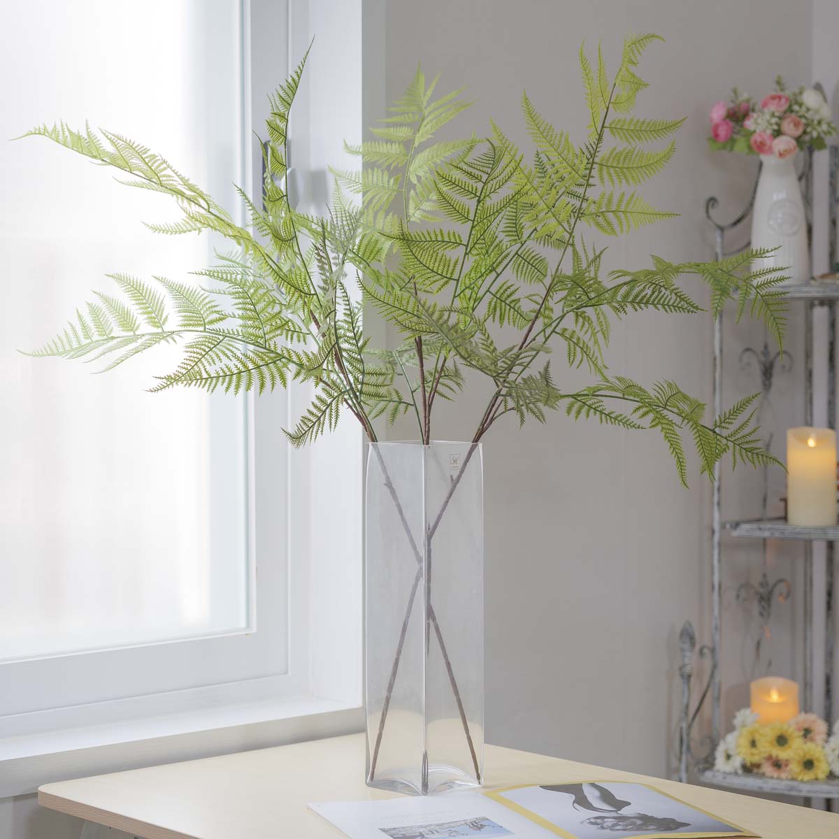 Ĺ   縮ȭ ȭĹ  120cm ⺻
