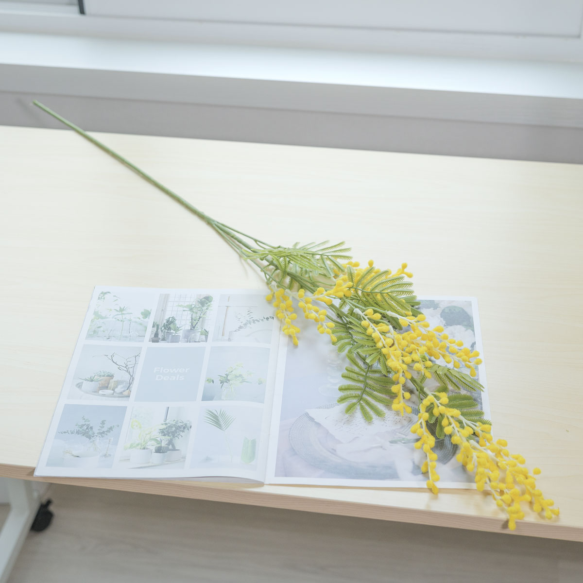 ũö ̸ ȭ  95cm ̸ȭ ο ̺  