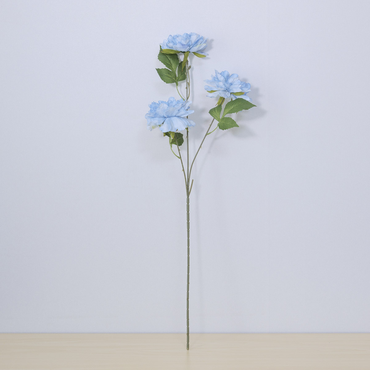 ũö  Ŀ ȭ  72cm   ȭȭ   