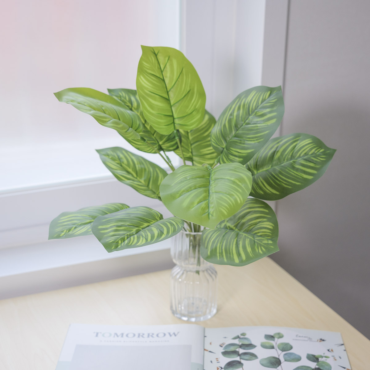 Ĺ ȭ Į󵥾 12 ν ⺻