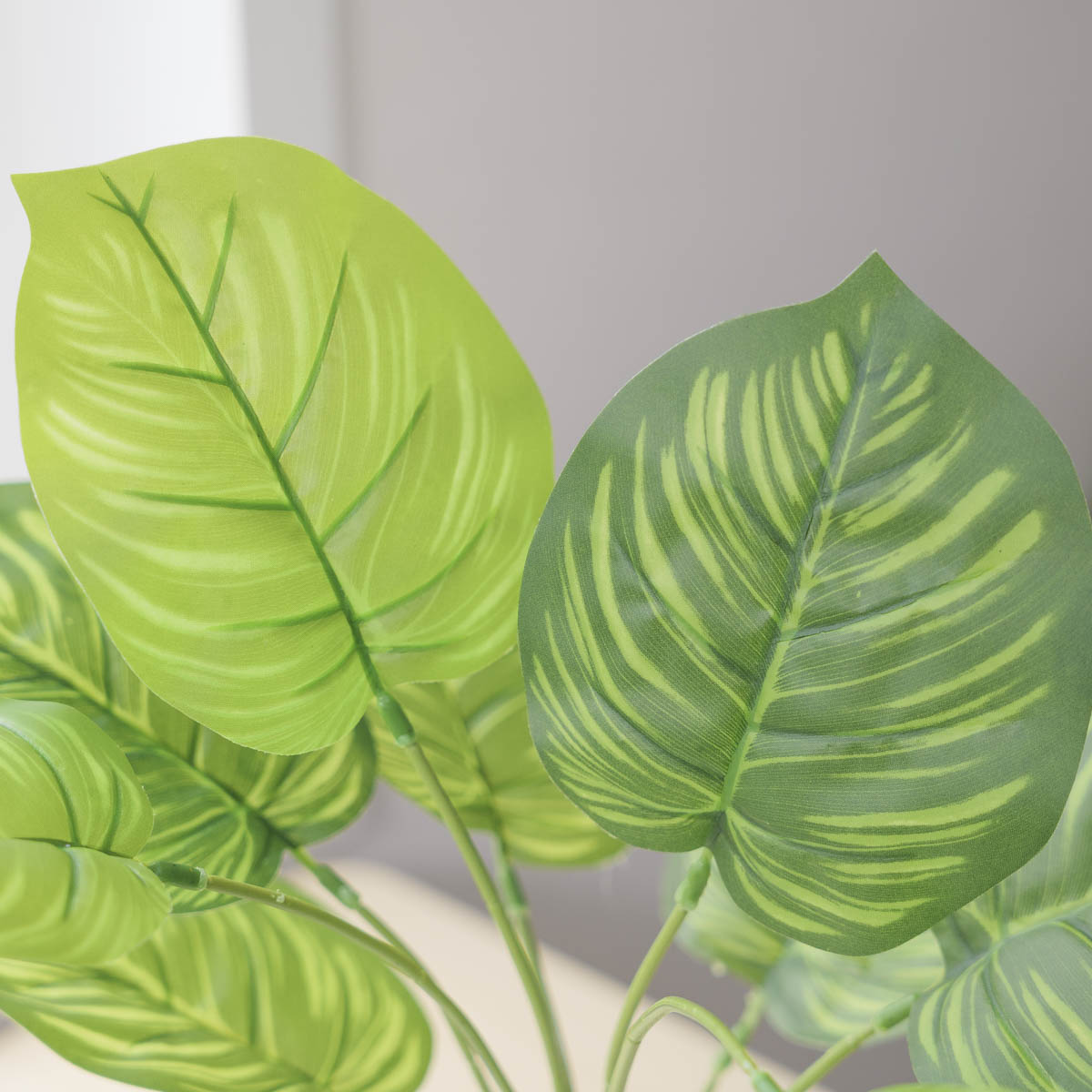 Ĺ ȭ Į󵥾 12 ν ǳ ׸   ǰ ̹ 