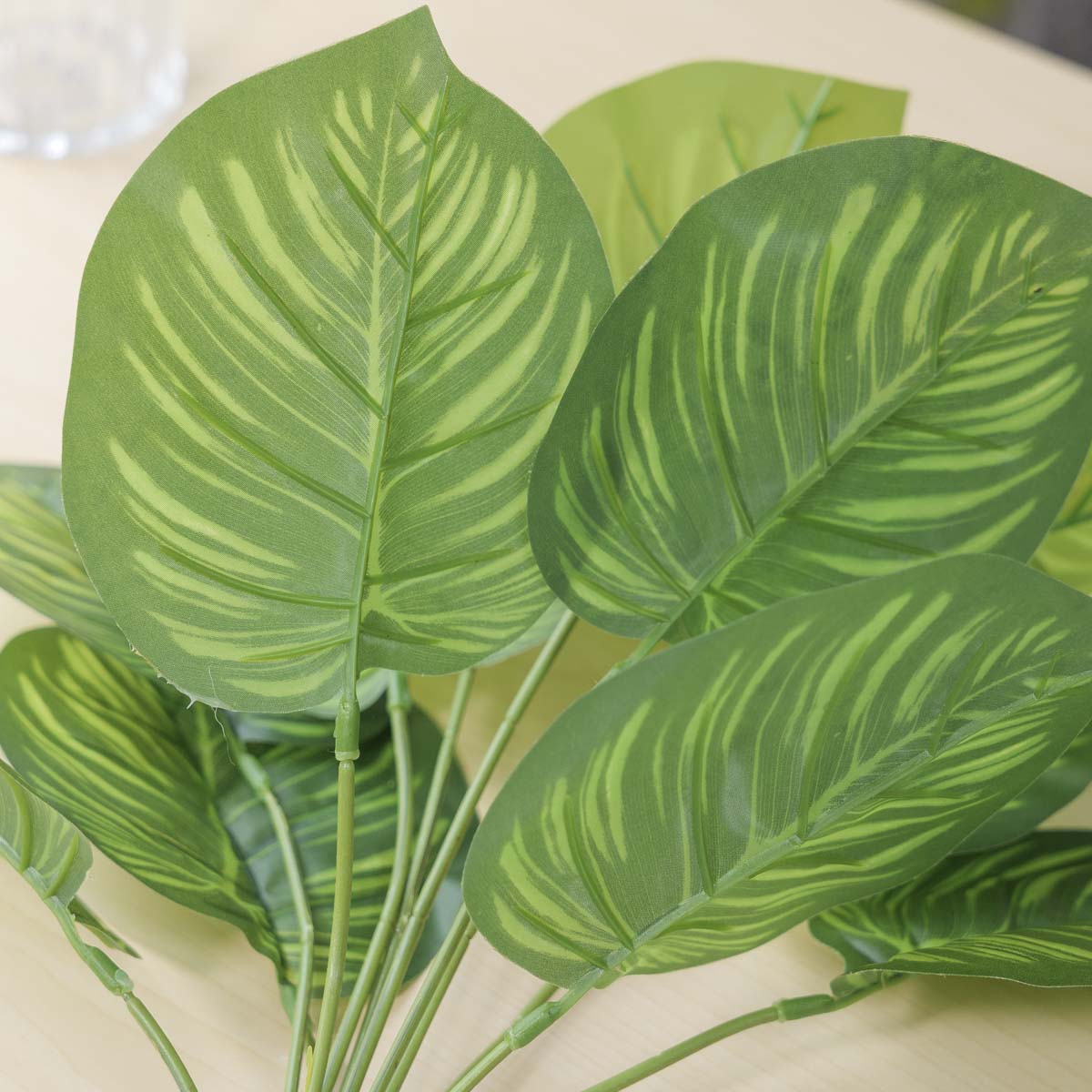 Ĺ ȭ Į󵥾 12 ν ǳ ׸   ǰ ̹ 