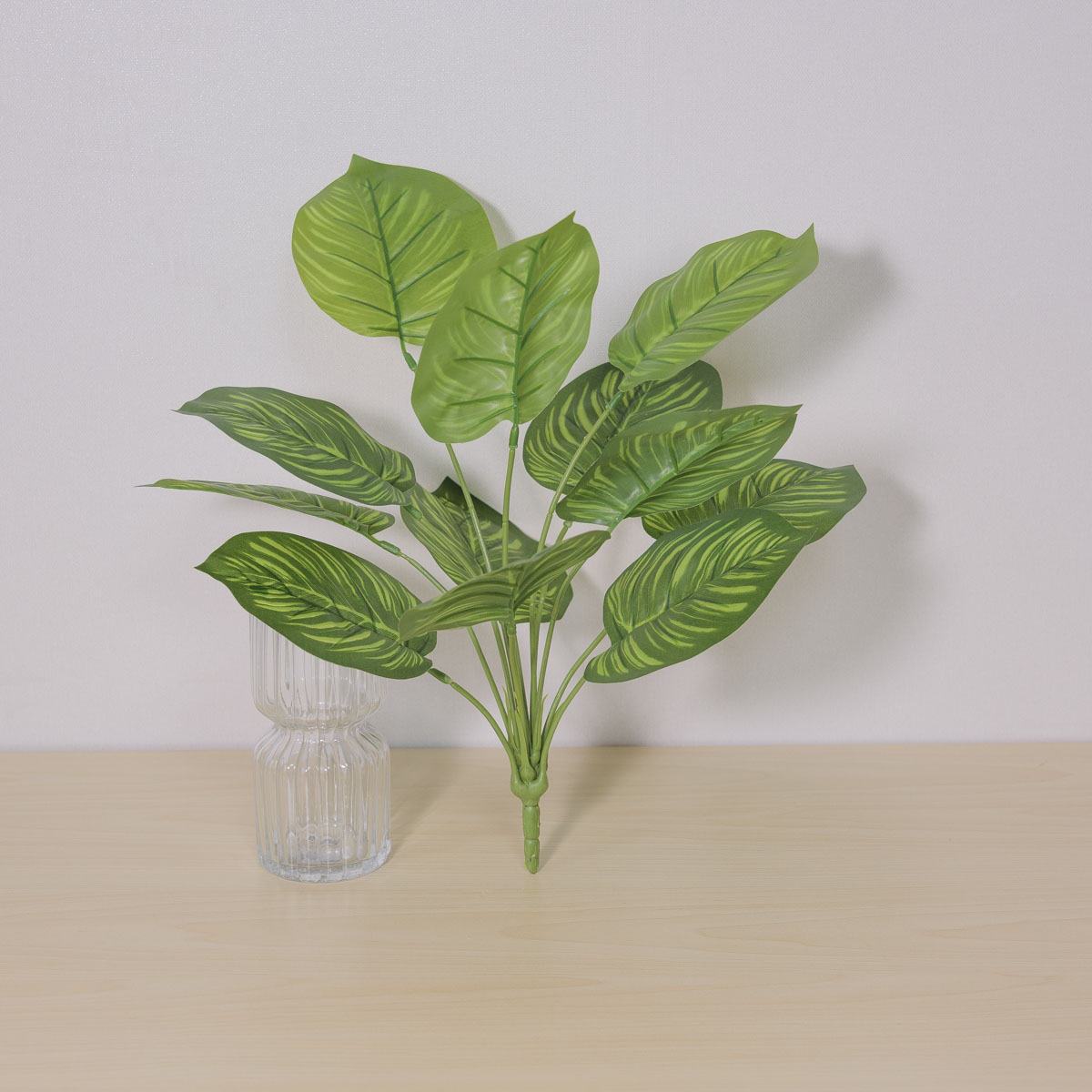 Ĺ ȭ Į󵥾 12 ν ǳ ׸   ǰ ̹ 