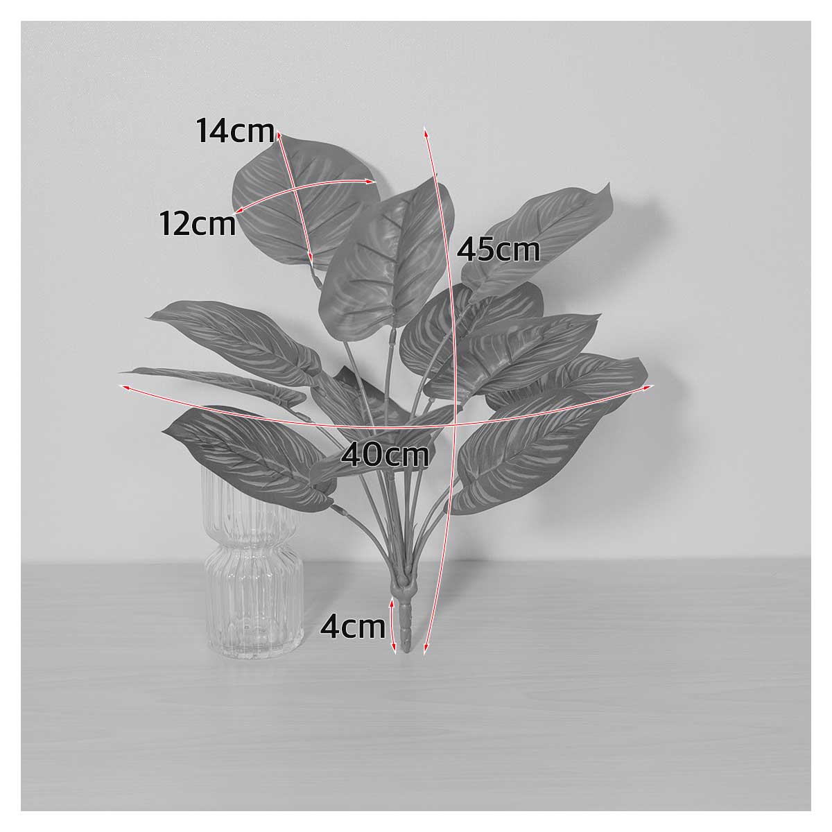 Ĺ ȭ Į󵥾 12 ν 