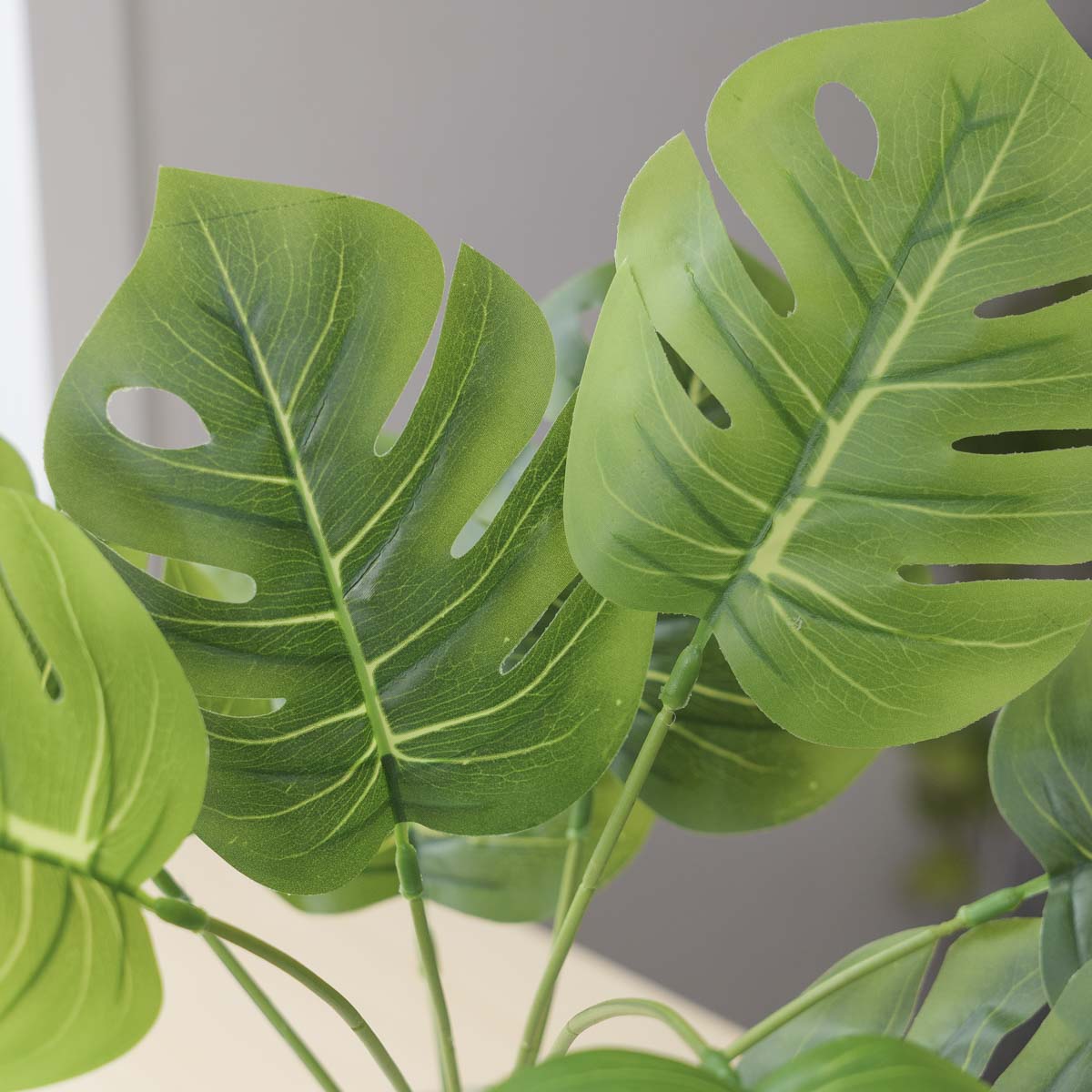 Ĺ ȭ ׶ 12 ν ǳ ׸   ǰ ̹ 