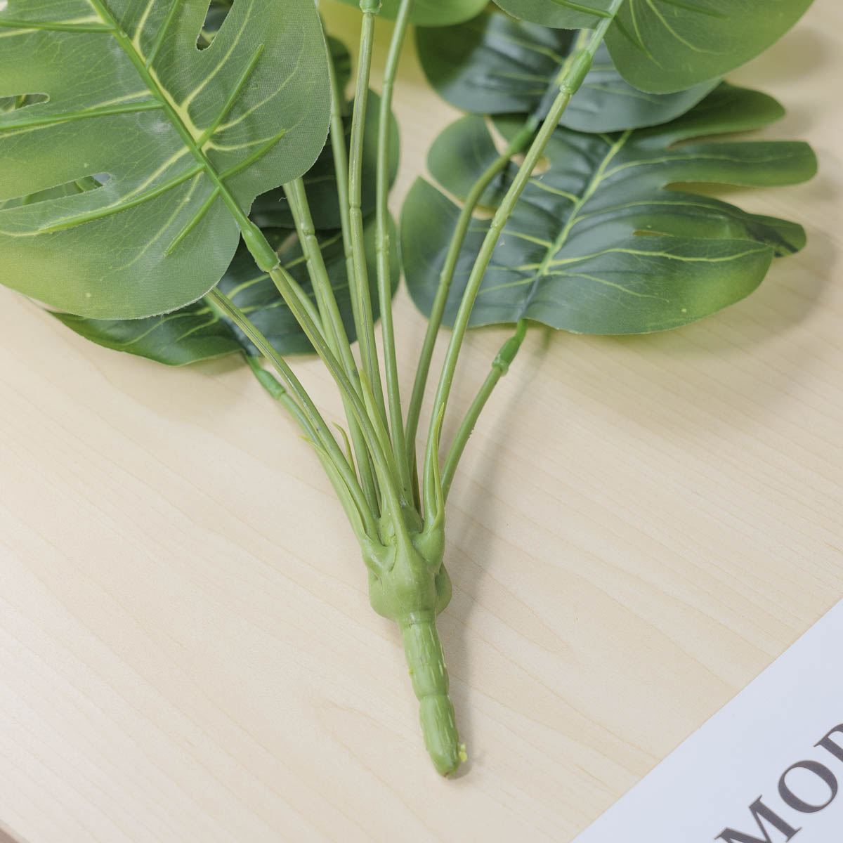 Ĺ ȭ ׶ 12 ν ǳ ׸   ǰ ̹ 