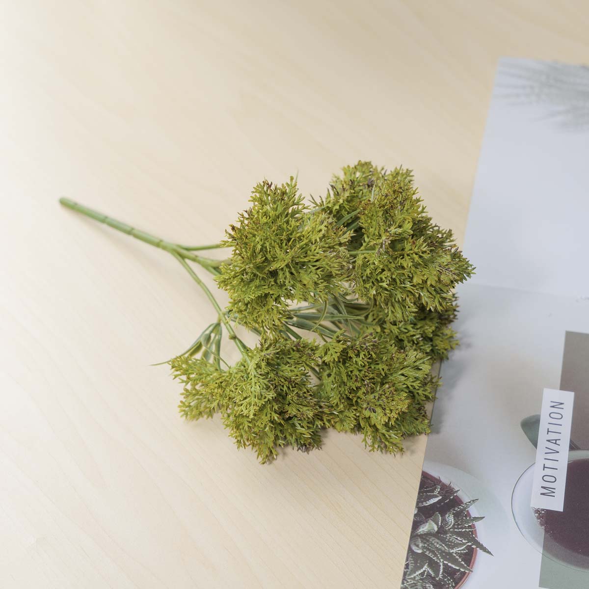  ̳   ν ȭ Ĺ ȭǳ ǰ ̹ 