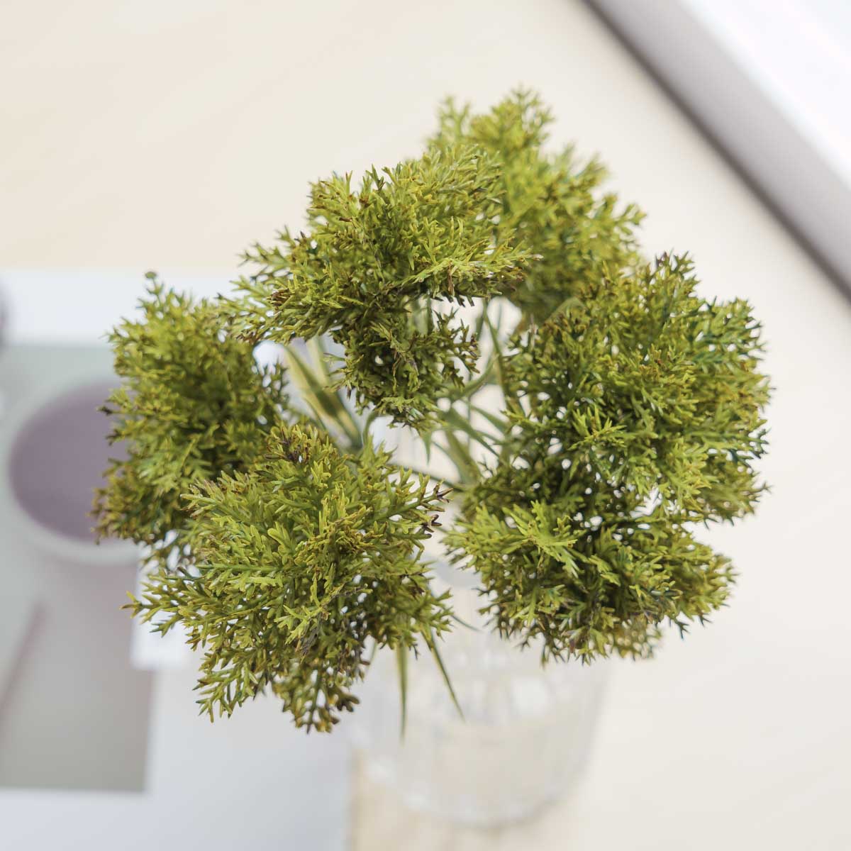  ̳   ν ȭ Ĺ ȭǳ ǰ ̹ 