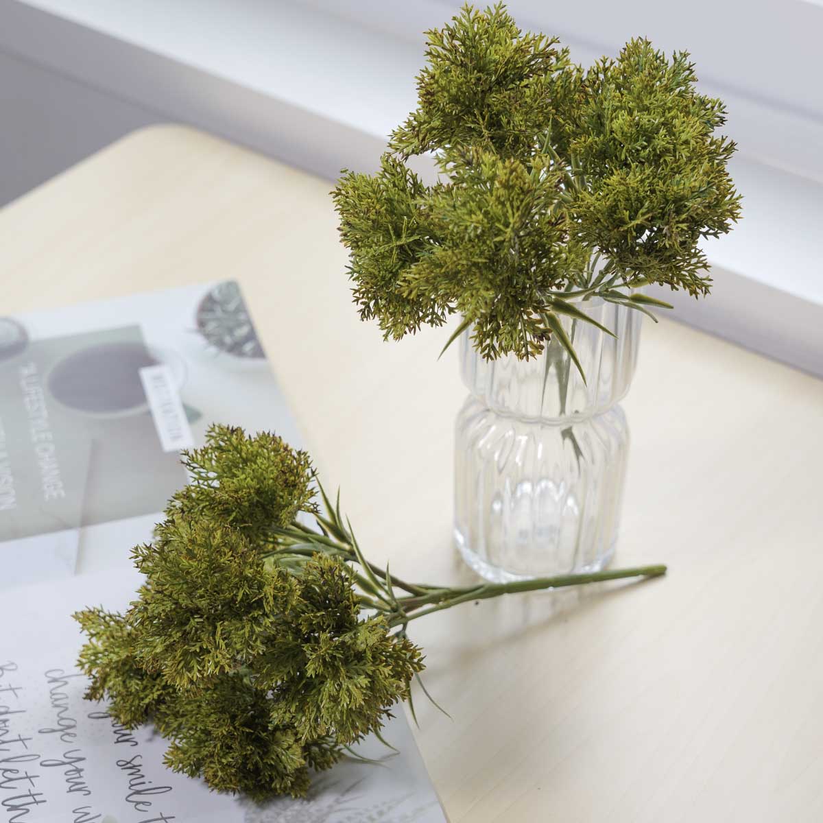  ̳   ν ȭ Ĺ ȭǳ ǰ ̹ 