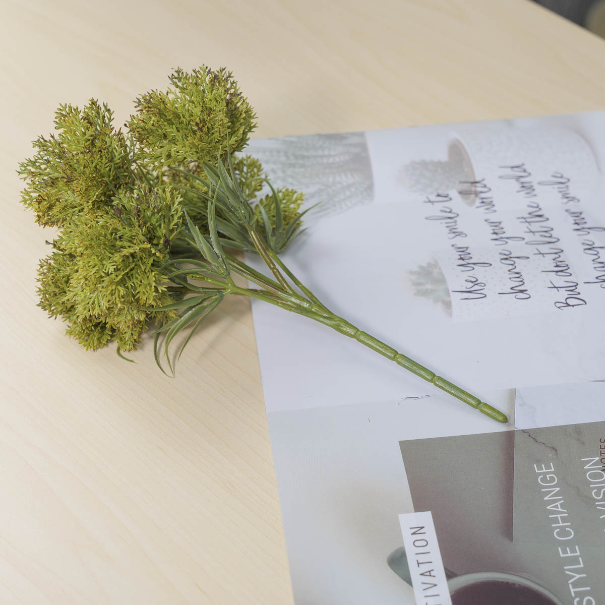  ̳   ν ȭ Ĺ ȭǳ ǰ ̹ 