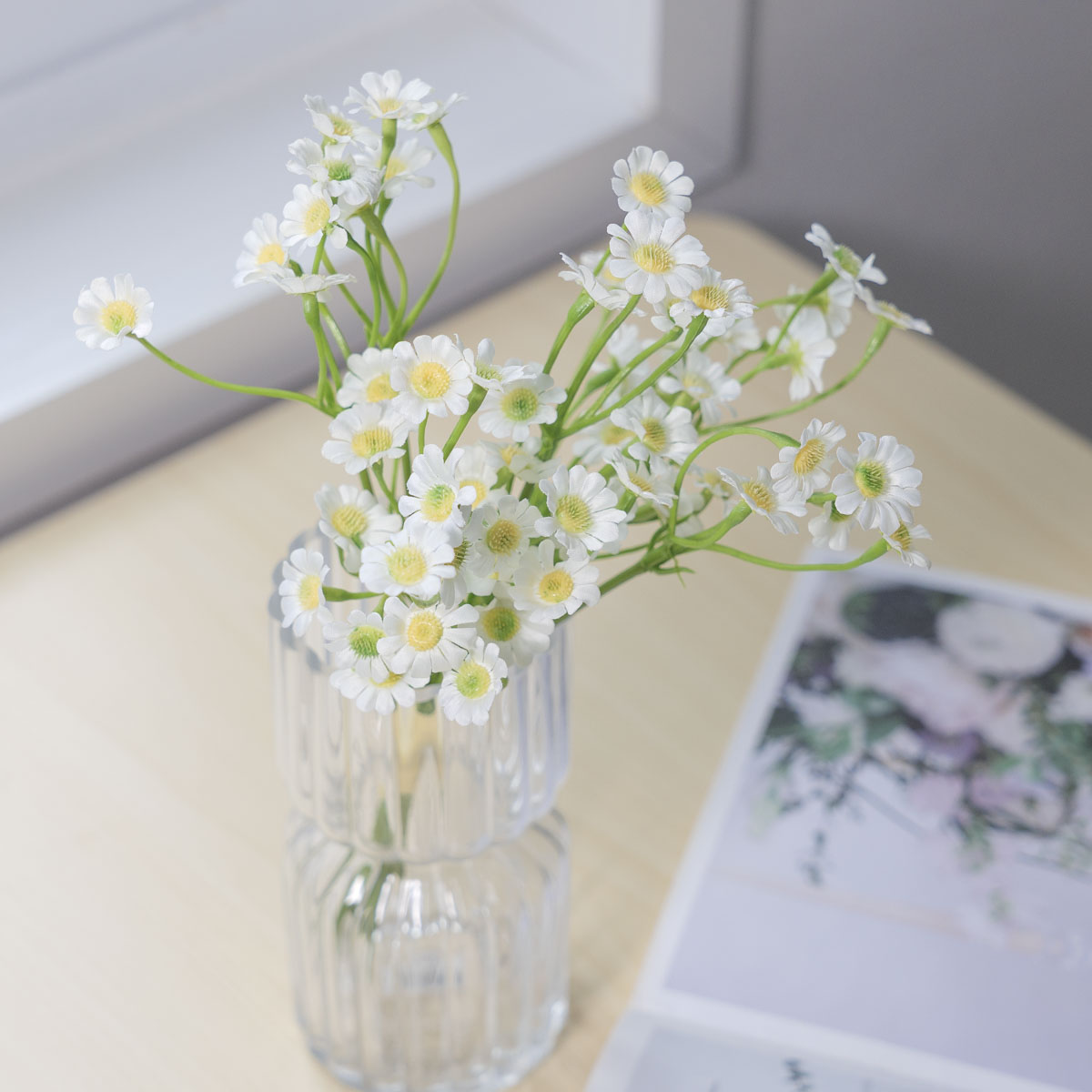 ��ũ�ö�� ��Ʈ��ī������ȭ �ν� 6P ���� ũ��  �⺻����