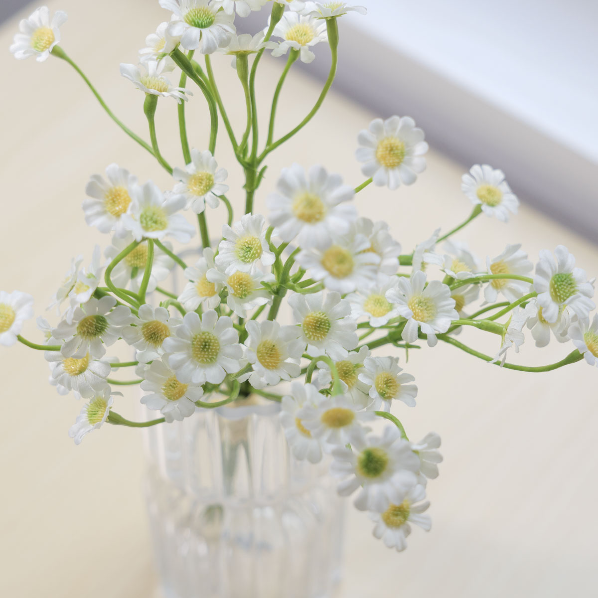 ��ũ�ö�� ��Ʈ��ī������ȭ �ν� 6P ���� ũ��  ũ���� ȭ���� ���� ����