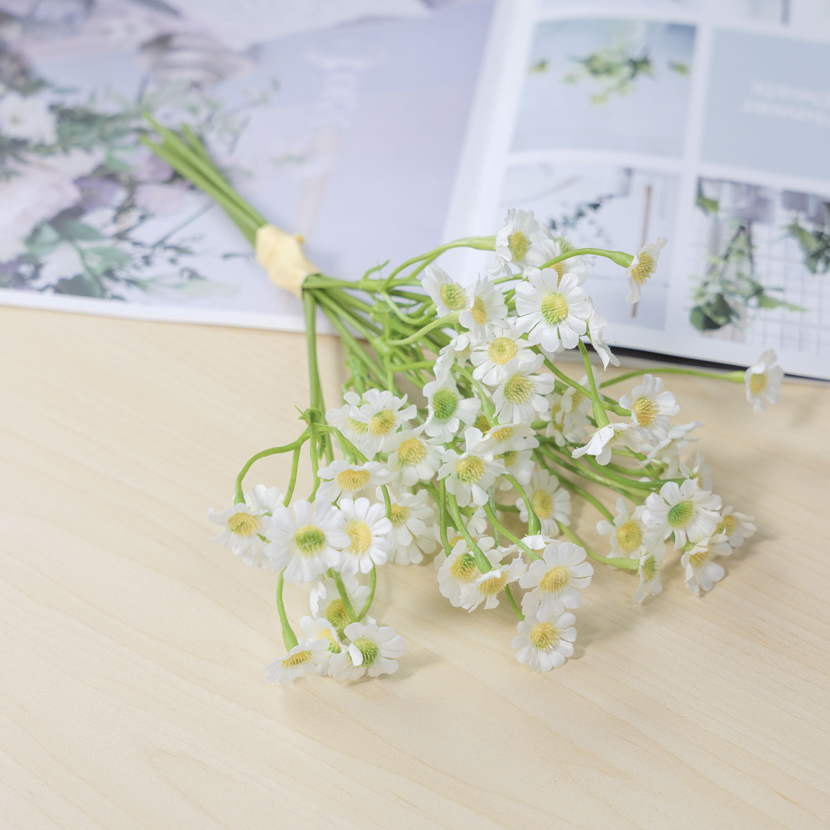 ��ũ�ö�� ��Ʈ��ī������ȭ �ν� 6P ���� ũ��  ��ġ�� ȭ���� ���� ����