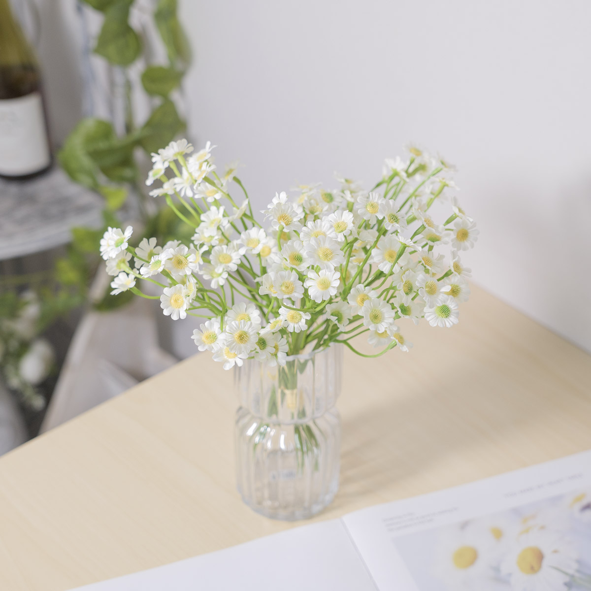 ��ũ�ö�� ��Ʈ��ī������ȭ �ν� 6P ���� ũ��  4�� �����