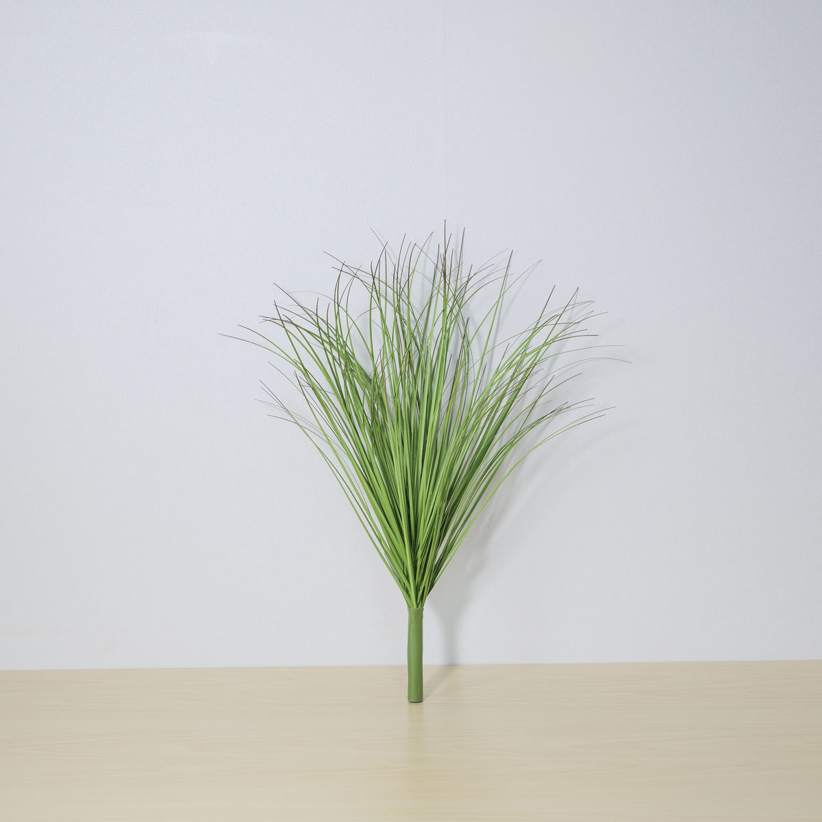 �����Ĺ� ��ȭǮ �׶� �ν� 48cm �׸� ��ȭ�Ĺ� ��ǰ �����̹��� �����