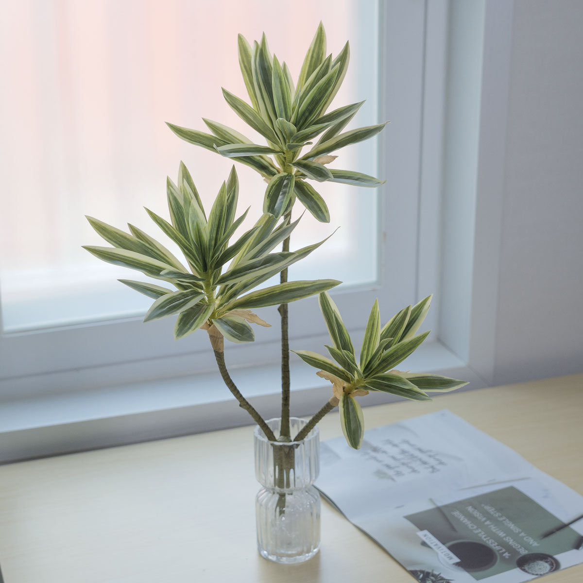 �����Ĺ� �뼳�� ��ȭ �������� 60cm ȭ��Ʈ �⺻����