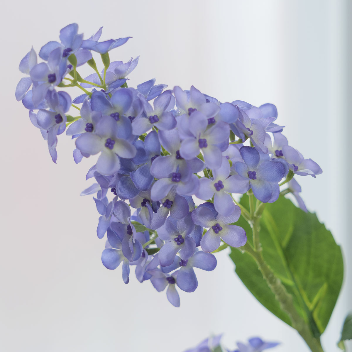 ��ũ�ö�� ���϶� ��ȭ�� ���� 68cm ��ȭ���� ���϶��ɰ��� ��ǰ �����̹��� �����