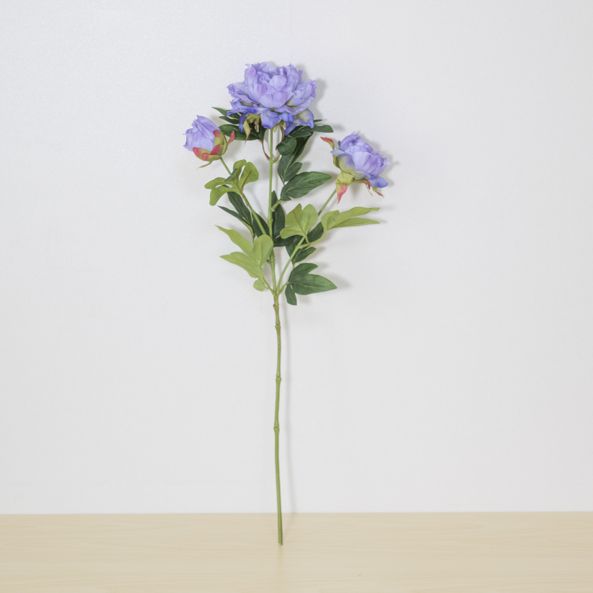 ½ÇÅ©Çöó¿ö ÀÛ¾à Á¶È²É °¡Áö 67cm ºí·ç ¼¼¿ö¼ º¸±â »çÁø