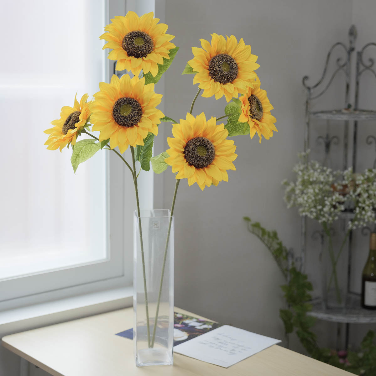 �Ǻ�Ʈ �عٶ�� ��ȭ �� 3���� ���� 60cm  �⺻����