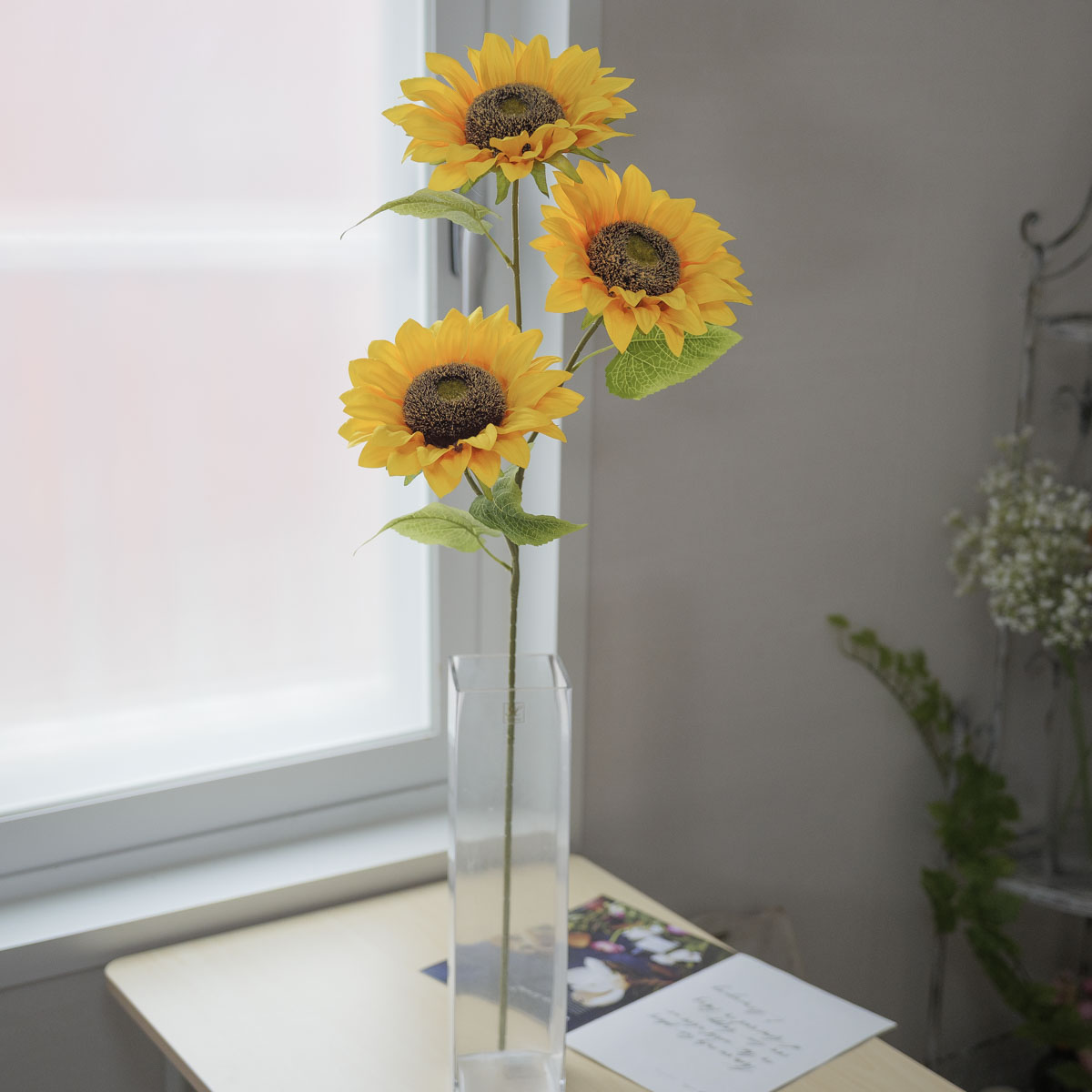 ��Ʈ �عٶ�� ��ȭ �� 3���� ���� 60cm ���ο� ���׸��� ��ȭ��� ��ǰ �����̹��� �����