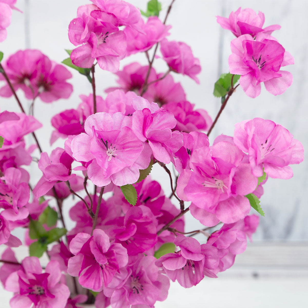 ��ũ�ö�� ���޷� ��ȭ�� �ν�