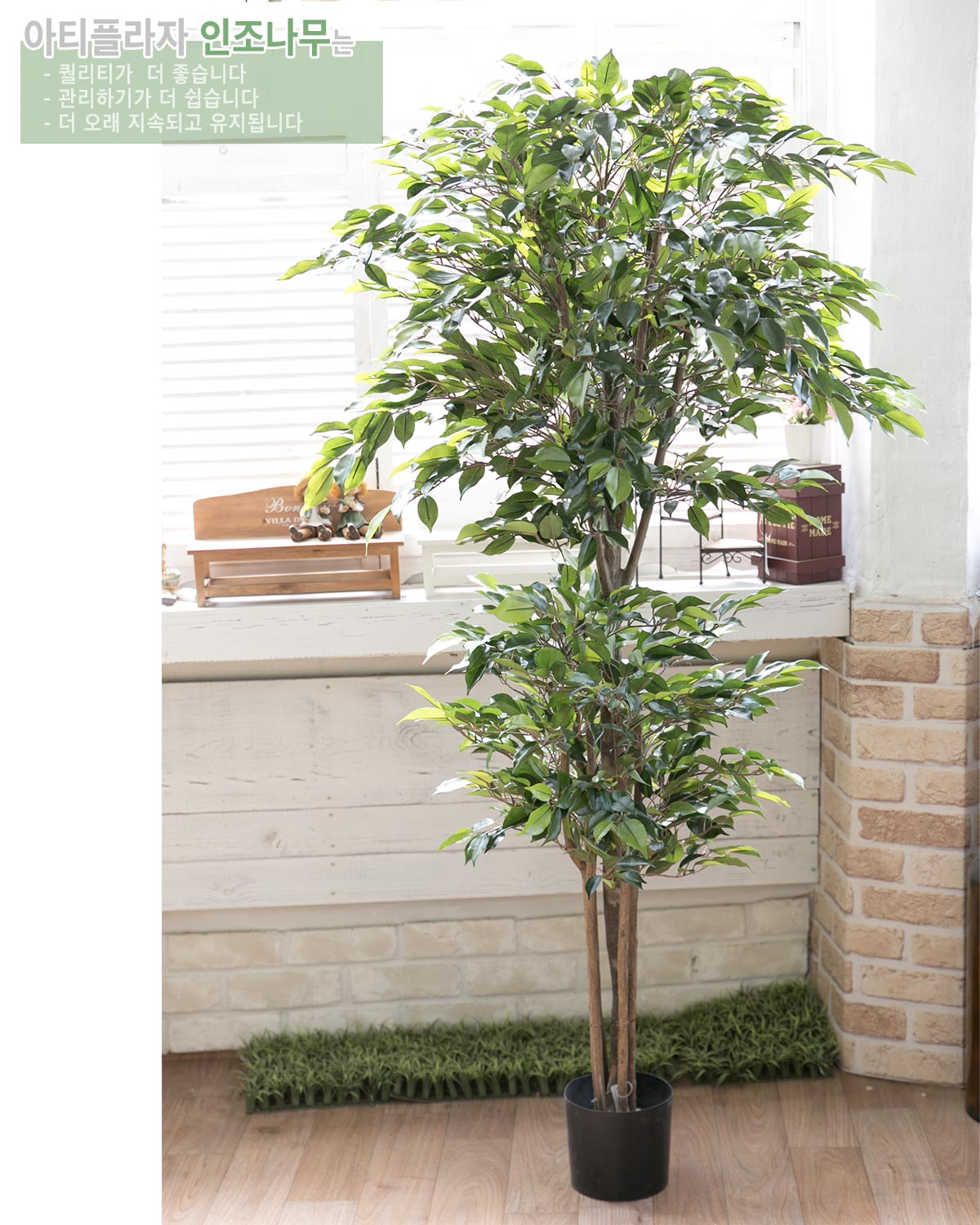ȭ ڹƮ 2 170cm ׸, Ʈ(ӽȭ)