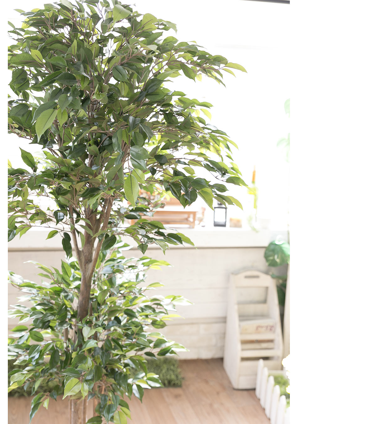 ȭ ڹƮ 2 170cm ׸, Ʈ(ӽȭ)