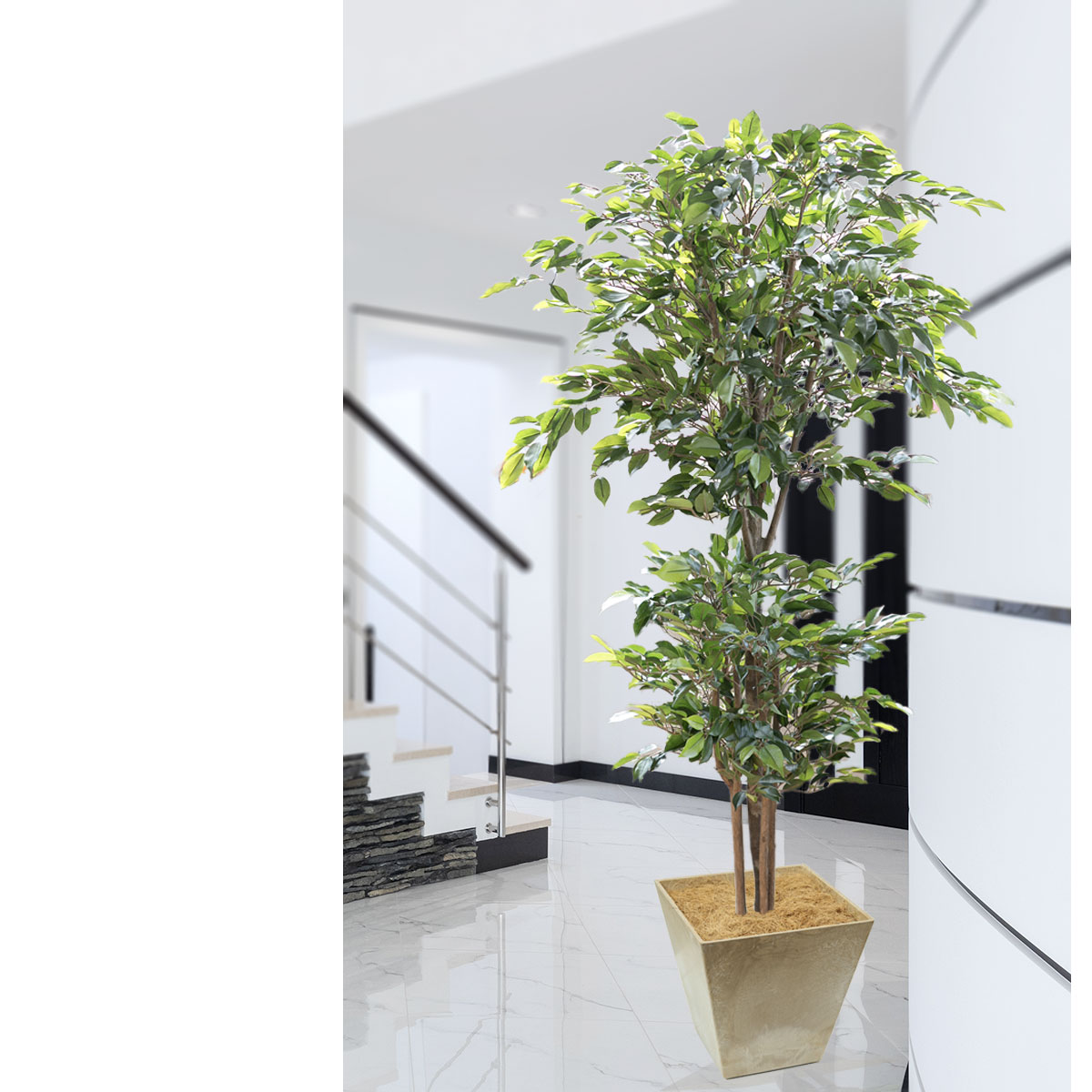 ȭ ڹƮ 2 170cm ׸, Ʈ(ӽȭ)