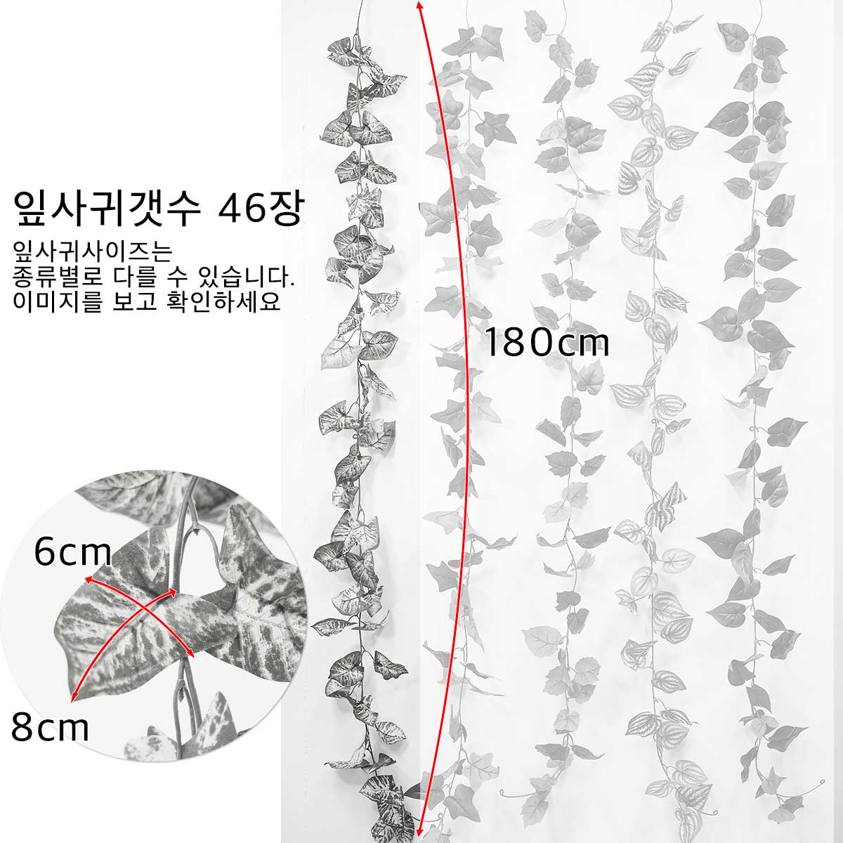 사이즈보기 이미지